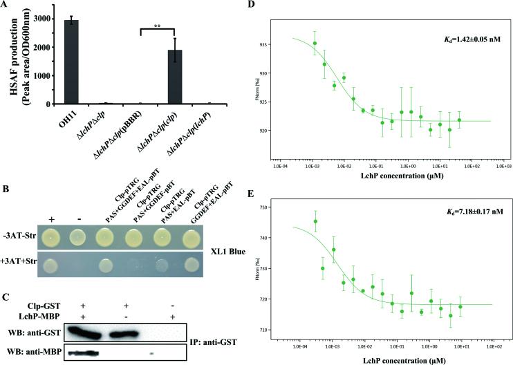 https://cdn.ncbi.nlm.nih.gov/pmc/blobs/4f9b/6182147/6e8430988241/gky803fig5.jpg