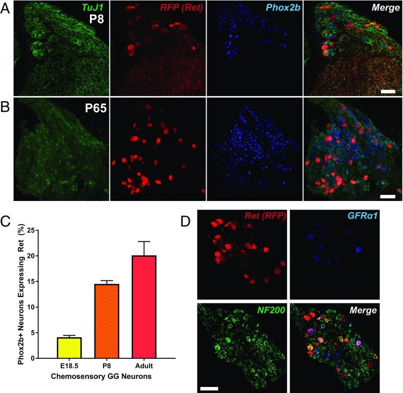 https://cdn.ncbi.nlm.nih.gov/pmc/blobs/4f9f/5776963/6cad9fb53005/pnas.1708838115fig05.jpg