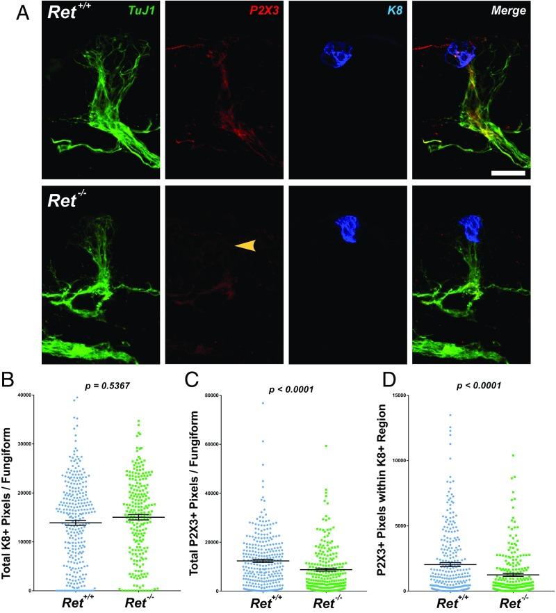 https://cdn.ncbi.nlm.nih.gov/pmc/blobs/4f9f/5776963/a2fb014fda33/pnas.1708838115fig04.jpg