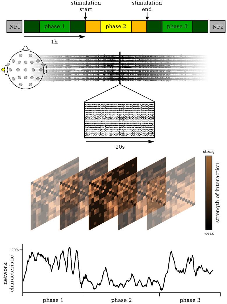 https://cdn.ncbi.nlm.nih.gov/pmc/blobs/4f9f/8042037/336e2e5ea5e0/41598_2021_87032_Fig1_HTML.jpg