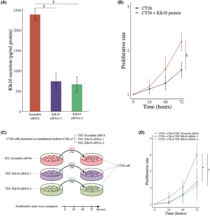 https://cdn.ncbi.nlm.nih.gov/pmc/blobs/4fa1/11093189/72012a7156ff/CAS-115-1520-g006.jpg