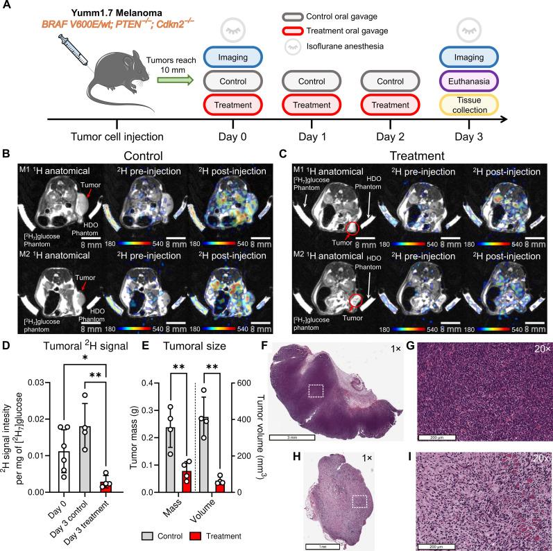 https://cdn.ncbi.nlm.nih.gov/pmc/blobs/4fa2/11939044/4c9e7b7cdfd3/sciadv.adr0568-f3.jpg