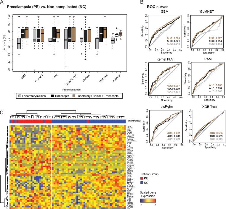 https://cdn.ncbi.nlm.nih.gov/pmc/blobs/4fa2/6504211/094ec114ad49/JEM_20190185_Fig7.jpg