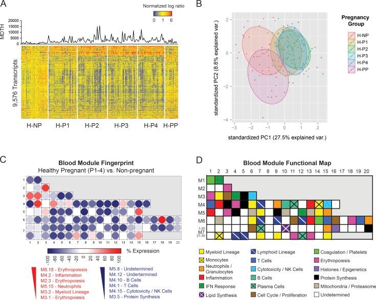https://cdn.ncbi.nlm.nih.gov/pmc/blobs/4fa2/6504211/7bd223ff2d1b/JEM_20190185_Fig2.jpg
