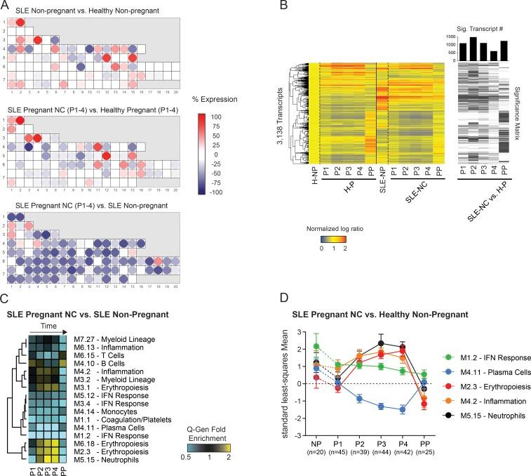 https://cdn.ncbi.nlm.nih.gov/pmc/blobs/4fa2/6504211/a04f7c66d69e/JEM_20190185_Fig5.jpg