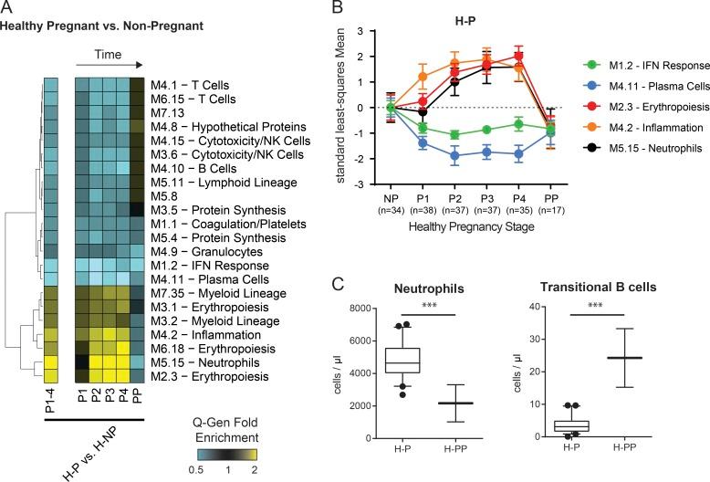 https://cdn.ncbi.nlm.nih.gov/pmc/blobs/4fa2/6504211/d623e190d308/JEM_20190185_Fig3.jpg