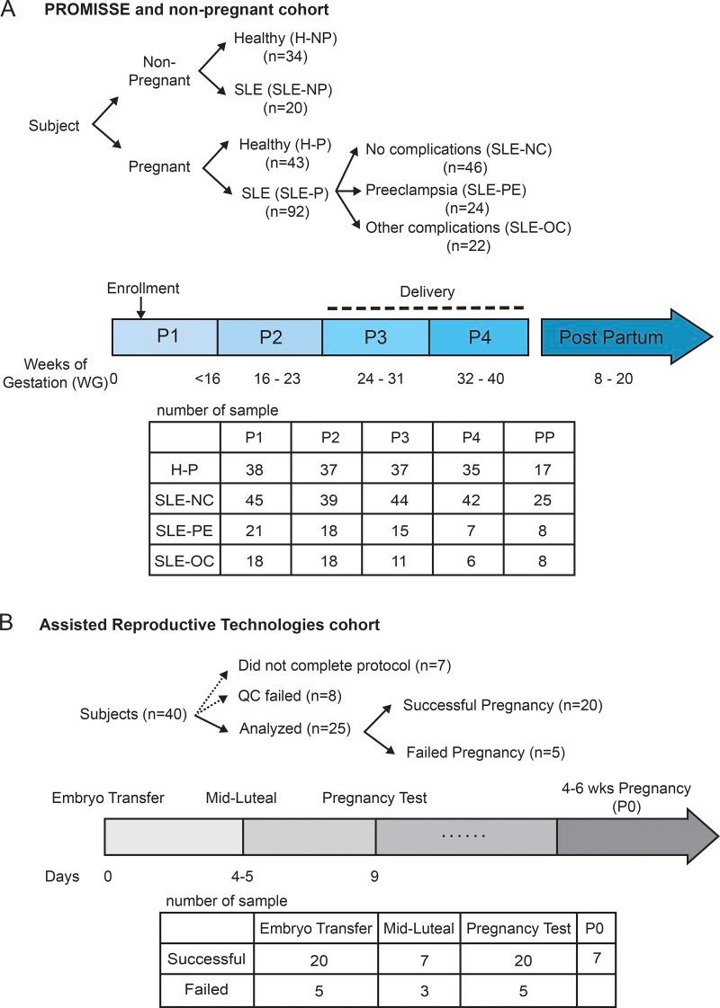 https://cdn.ncbi.nlm.nih.gov/pmc/blobs/4fa2/6504211/de9cd87b8914/JEM_20190185_Fig1.jpg