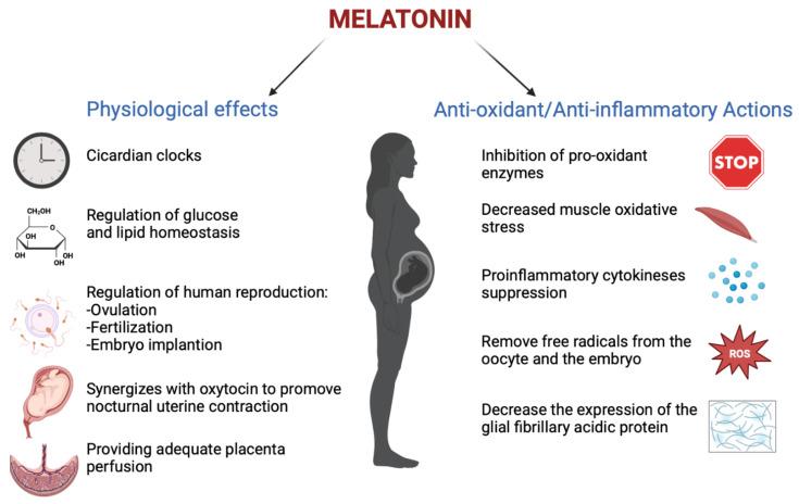 https://cdn.ncbi.nlm.nih.gov/pmc/blobs/4fa2/9775355/2dfa8784aafe/biomedicines-10-03252-g002.jpg