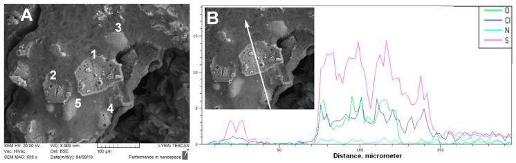 https://cdn.ncbi.nlm.nih.gov/pmc/blobs/4fa3/9144411/5871e7b5dff4/polymers-14-02125-g010.jpg
