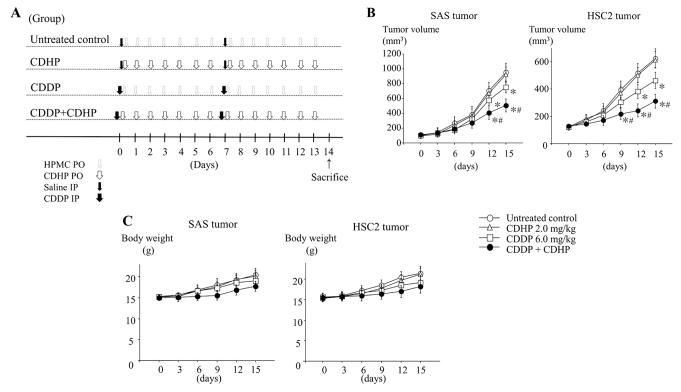https://cdn.ncbi.nlm.nih.gov/pmc/blobs/4fa4/5587992/22ba09d5da84/ol-14-03-3349-g07.jpg
