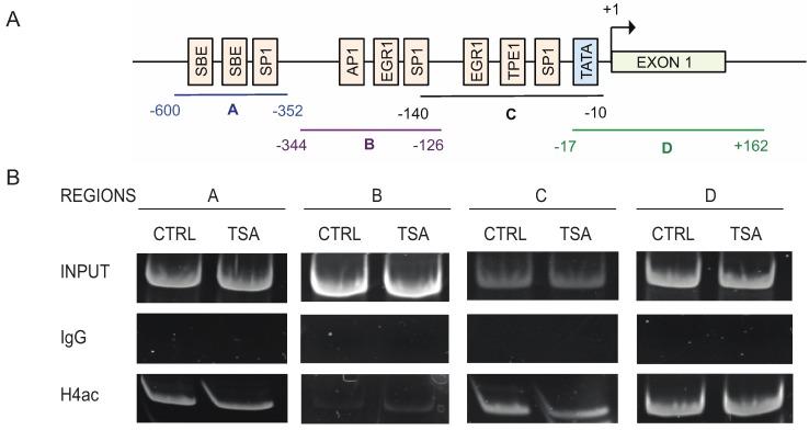 https://cdn.ncbi.nlm.nih.gov/pmc/blobs/4fa8/4598787/01b4adbda7bd/biomolecules-05-02035-g006.jpg