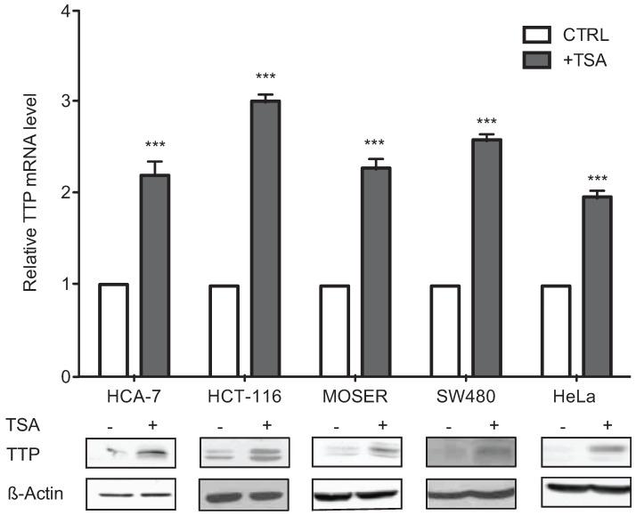 https://cdn.ncbi.nlm.nih.gov/pmc/blobs/4fa8/4598787/255e295e27a9/biomolecules-05-02035-g001.jpg