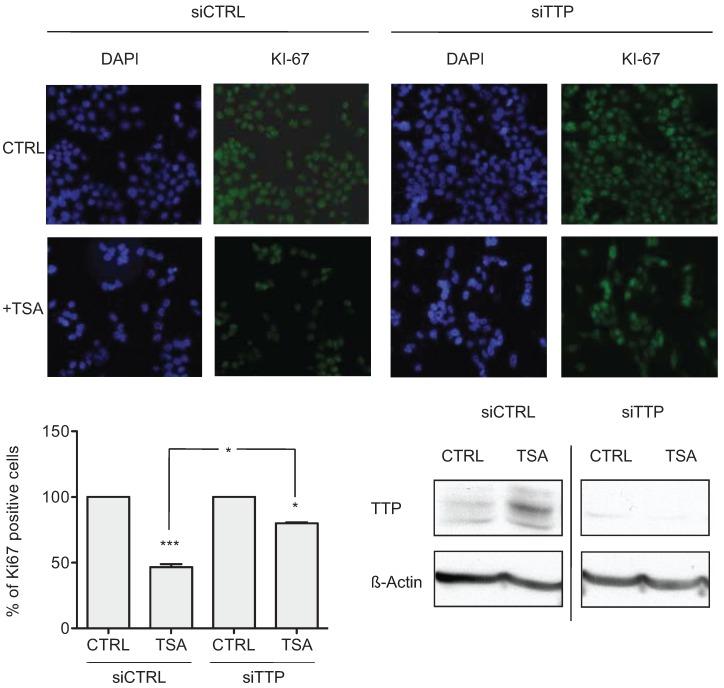 https://cdn.ncbi.nlm.nih.gov/pmc/blobs/4fa8/4598787/414df2292f32/biomolecules-05-02035-g004.jpg