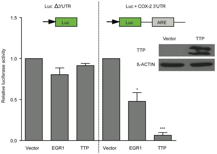 https://cdn.ncbi.nlm.nih.gov/pmc/blobs/4fa8/4598787/8a44502b394c/biomolecules-05-02035-g010.jpg