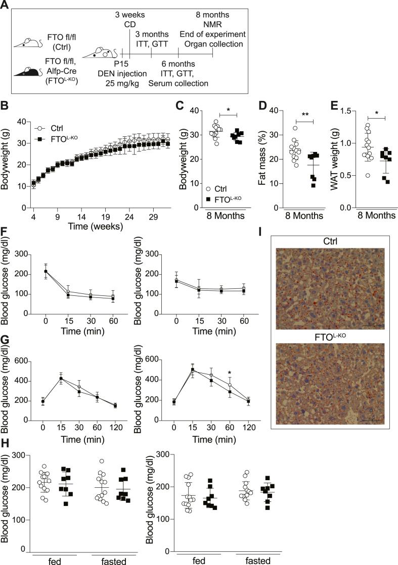 https://cdn.ncbi.nlm.nih.gov/pmc/blobs/4fa8/7560164/872bf339387a/gr1.jpg
