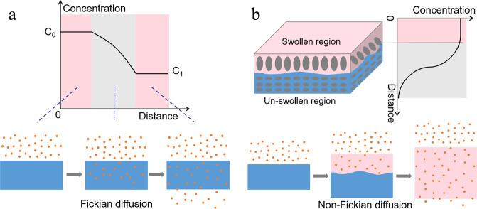https://cdn.ncbi.nlm.nih.gov/pmc/blobs/4fa8/8917176/a950ecd82efa/41538_2022_132_Fig4_HTML.jpg