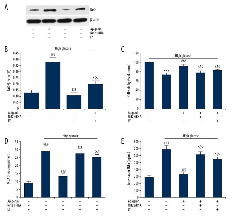 https://cdn.ncbi.nlm.nih.gov/pmc/blobs/4fac/6652381/f6b27c000f5d/medscimonit-25-5280-g004.jpg