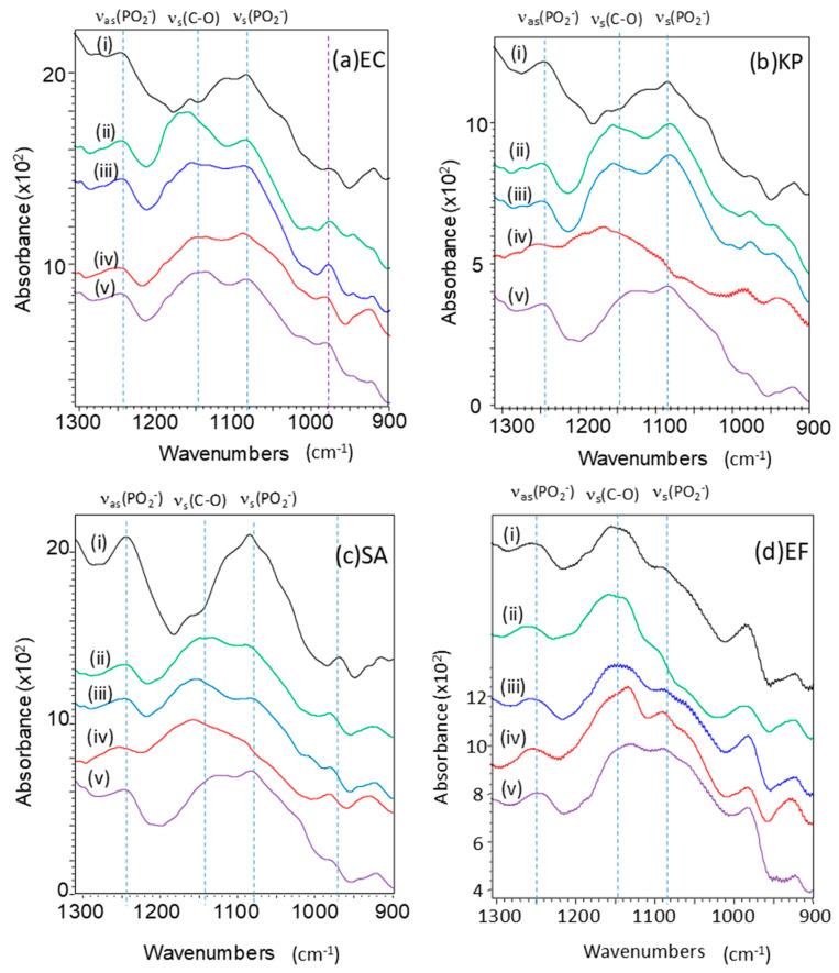 https://cdn.ncbi.nlm.nih.gov/pmc/blobs/4fad/10135141/81f24756ec1f/antibiotics-12-00776-g003.jpg