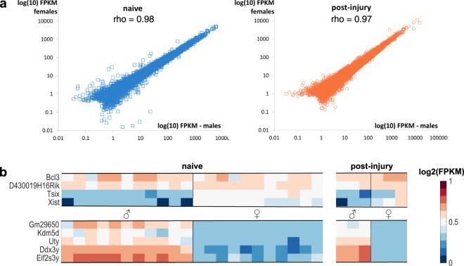 https://cdn.ncbi.nlm.nih.gov/pmc/blobs/4fad/5705679/45942e79db7e/41598_2017_16664_Fig1_HTML.jpg