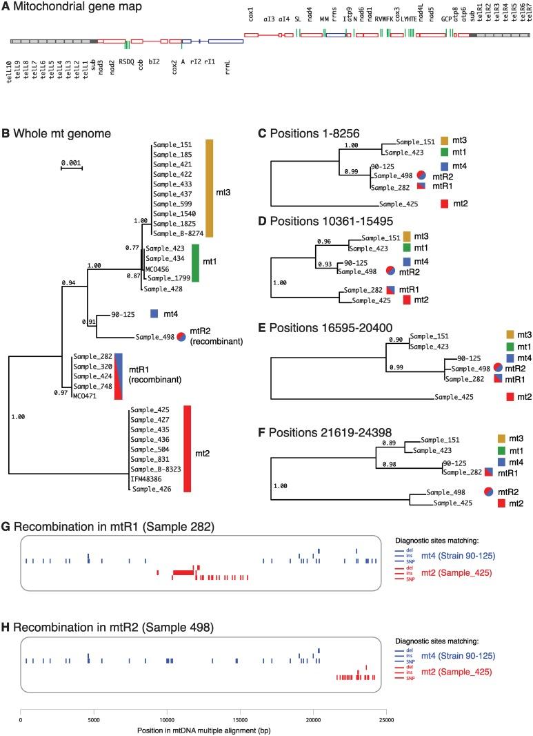 https://cdn.ncbi.nlm.nih.gov/pmc/blobs/4fae/5091853/69006f96c583/pgen.1006404.g006.jpg