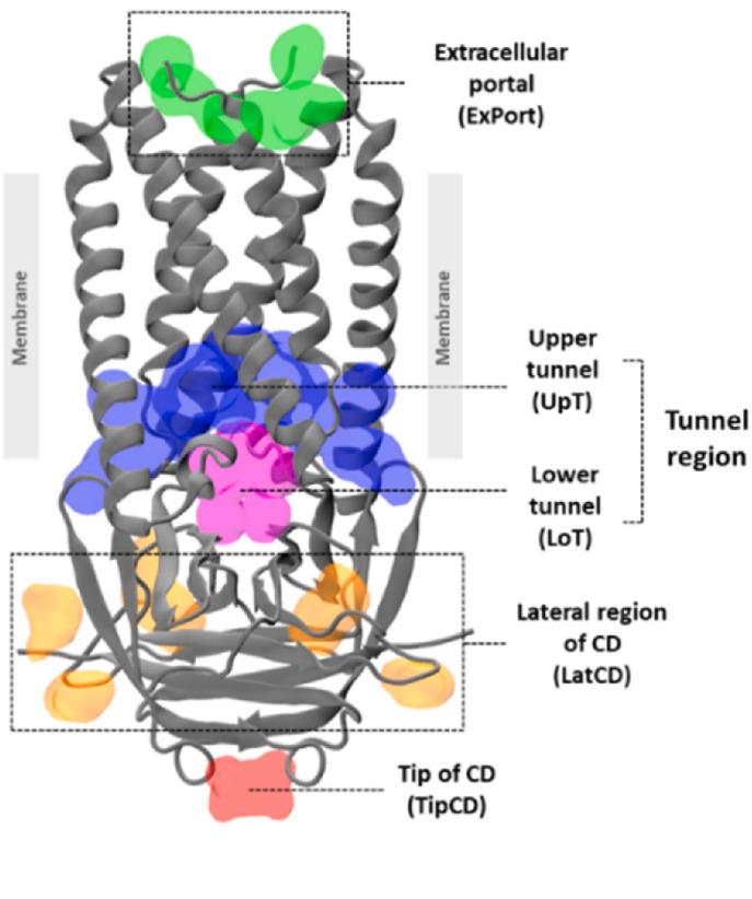 https://cdn.ncbi.nlm.nih.gov/pmc/blobs/4fb0/10083643/b57315bdcdb3/gr2_lrg.jpg
