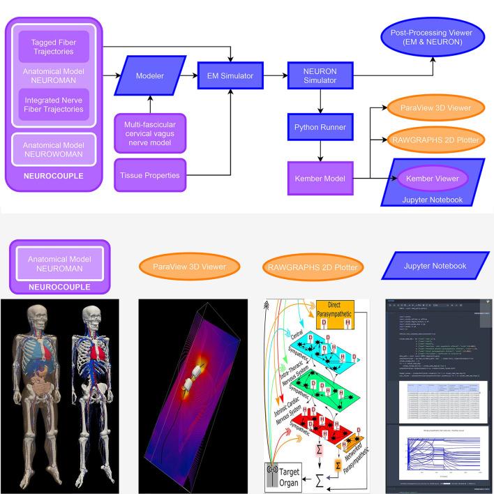 https://cdn.ncbi.nlm.nih.gov/pmc/blobs/4fb1/8265045/45a8b6b5db8a/fphys-12-693735-g0010.jpg