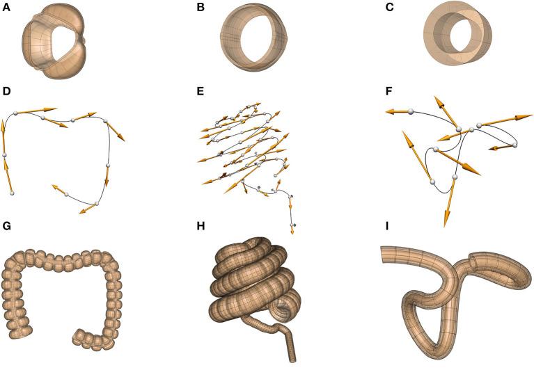 https://cdn.ncbi.nlm.nih.gov/pmc/blobs/4fb1/8265045/b55201f25ce1/fphys-12-693735-g0006.jpg