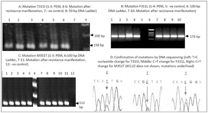 https://cdn.ncbi.nlm.nih.gov/pmc/blobs/4fb2/3568121/908d196fa636/pone.0055717.g001.jpg