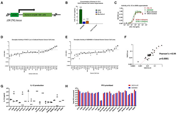 https://cdn.ncbi.nlm.nih.gov/pmc/blobs/4fb3/10869731/7e283e72aa93/gr2.jpg