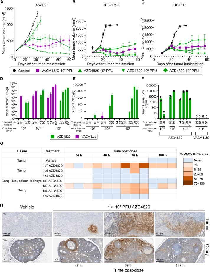 https://cdn.ncbi.nlm.nih.gov/pmc/blobs/4fb3/10869731/b0625cb37f3c/gr3.jpg