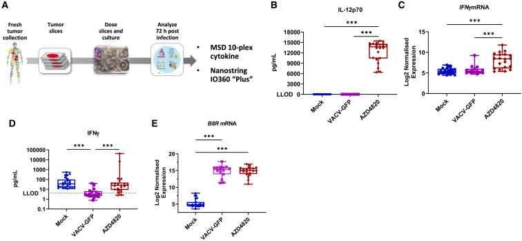 https://cdn.ncbi.nlm.nih.gov/pmc/blobs/4fb3/10869731/d2c17260caa7/gr4.jpg