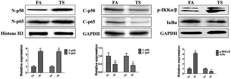 https://cdn.ncbi.nlm.nih.gov/pmc/blobs/4fb3/8166398/3dbb9dedd180/10.1177_0300060521992900-fig2.jpg