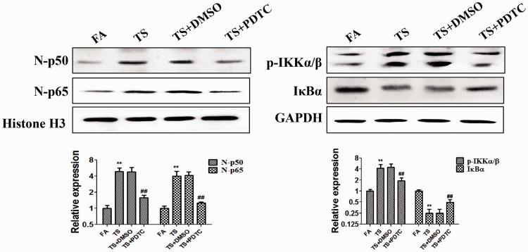 https://cdn.ncbi.nlm.nih.gov/pmc/blobs/4fb3/8166398/bc6c95540dbd/10.1177_0300060521992900-fig3.jpg