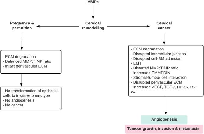 https://cdn.ncbi.nlm.nih.gov/pmc/blobs/4fb4/9422233/edb9c587cb92/RAF-22-0015fig3.jpg