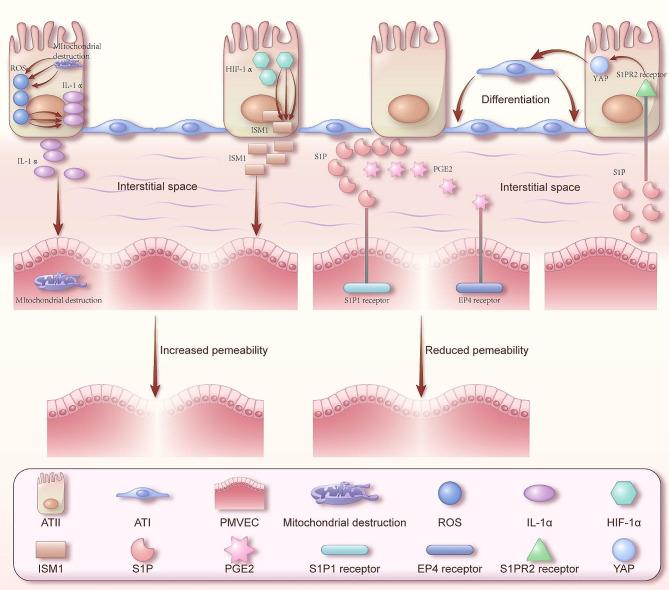 https://cdn.ncbi.nlm.nih.gov/pmc/blobs/4fb5/11162078/7d81dcf162a2/12931_2024_2865_Fig1_HTML.jpg