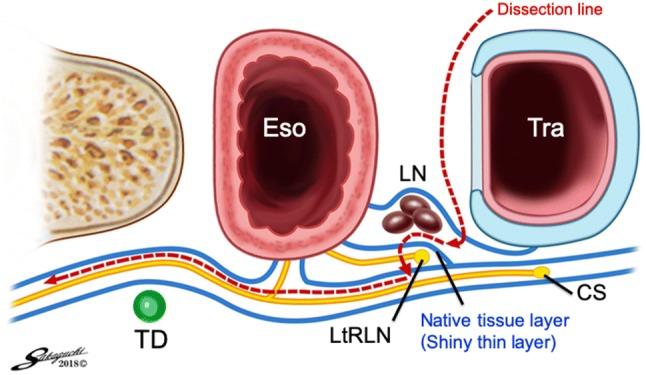 https://cdn.ncbi.nlm.nih.gov/pmc/blobs/4fb5/7214392/5ddae68d4bdc/464_2020_7372_Fig4_HTML.jpg