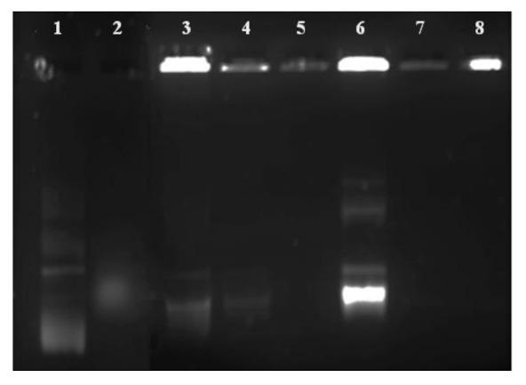 https://cdn.ncbi.nlm.nih.gov/pmc/blobs/4fb5/8835765/436670e51e6c/ijms-23-01492-g005.jpg