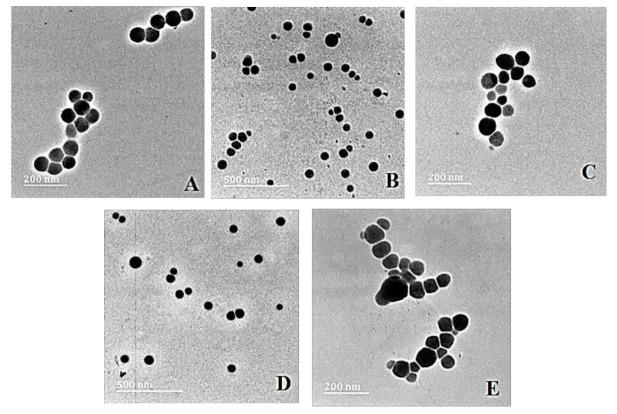 https://cdn.ncbi.nlm.nih.gov/pmc/blobs/4fb5/8835765/716eb3bfd0bf/ijms-23-01492-g002.jpg