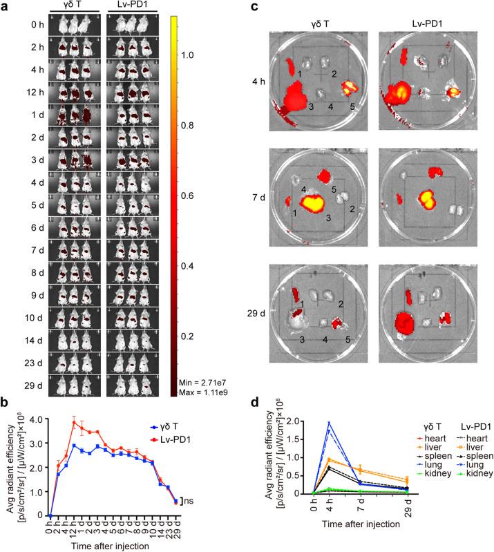 https://cdn.ncbi.nlm.nih.gov/pmc/blobs/4fb7/10587135/c205b6d4dde5/41392_2023_1646_Fig4_HTML.jpg