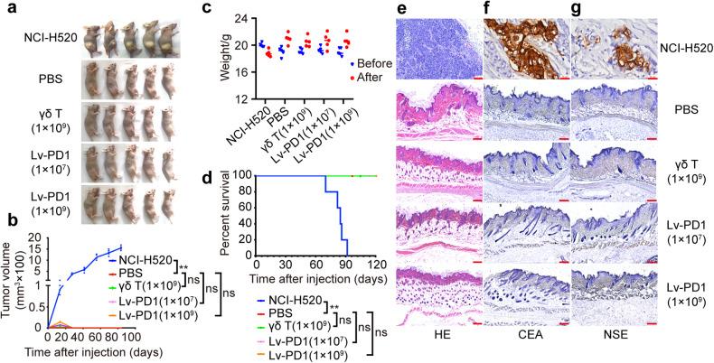https://cdn.ncbi.nlm.nih.gov/pmc/blobs/4fb7/10587135/df710884a581/41392_2023_1646_Fig3_HTML.jpg