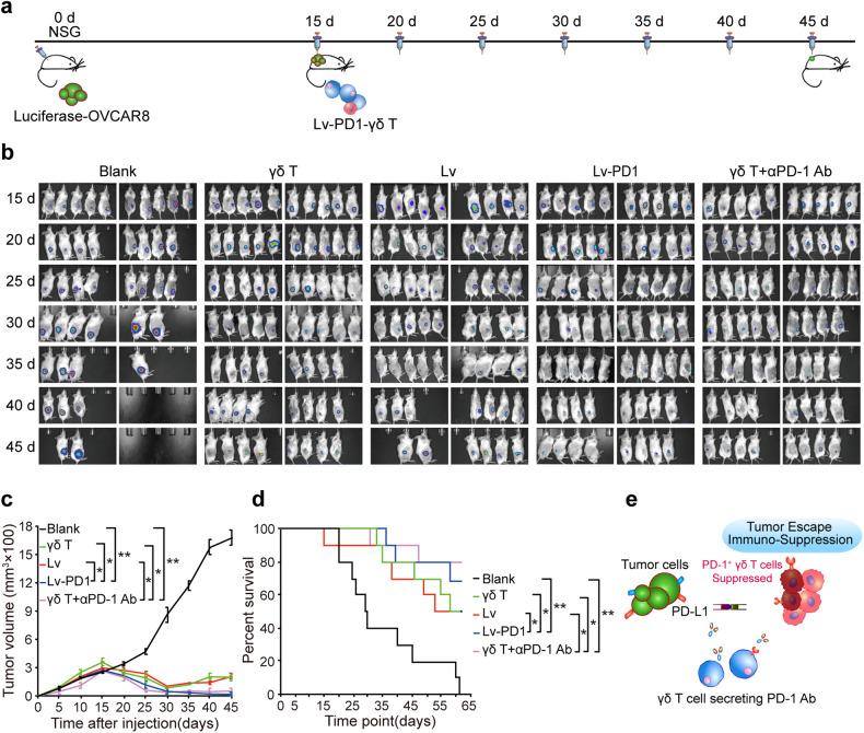 https://cdn.ncbi.nlm.nih.gov/pmc/blobs/4fb7/10587135/f60ad04f266d/41392_2023_1646_Fig5_HTML.jpg