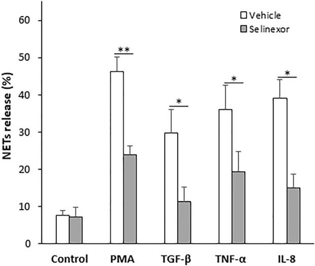 https://cdn.ncbi.nlm.nih.gov/pmc/blobs/4fbc/9730241/d69d8e392532/fphar-13-1030991-g003.jpg