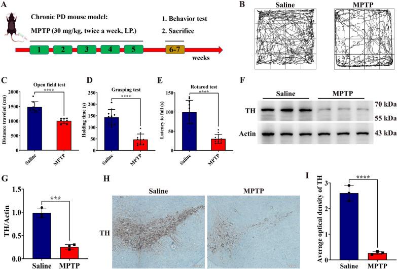 https://cdn.ncbi.nlm.nih.gov/pmc/blobs/4fbd/11299274/00a8aa013bfe/12967_2024_5535_Fig1_HTML.jpg