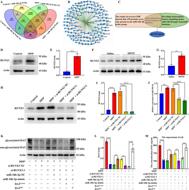 https://cdn.ncbi.nlm.nih.gov/pmc/blobs/4fbd/11299274/090a407e84f6/12967_2024_5535_Fig8_HTML.jpg