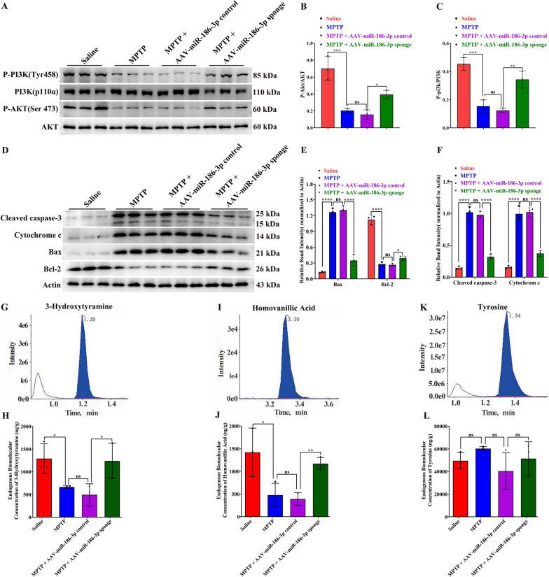 https://cdn.ncbi.nlm.nih.gov/pmc/blobs/4fbd/11299274/0bd6edbe130a/12967_2024_5535_Fig5_HTML.jpg