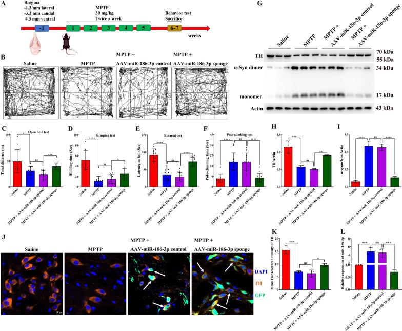 https://cdn.ncbi.nlm.nih.gov/pmc/blobs/4fbd/11299274/31e3be77654f/12967_2024_5535_Fig4_HTML.jpg