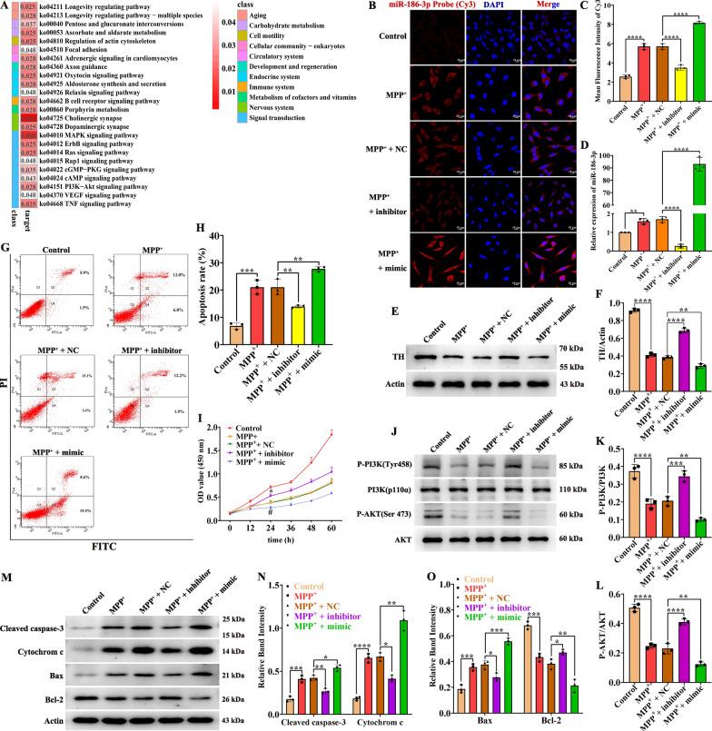 https://cdn.ncbi.nlm.nih.gov/pmc/blobs/4fbd/11299274/4154305b2925/12967_2024_5535_Fig3_HTML.jpg
