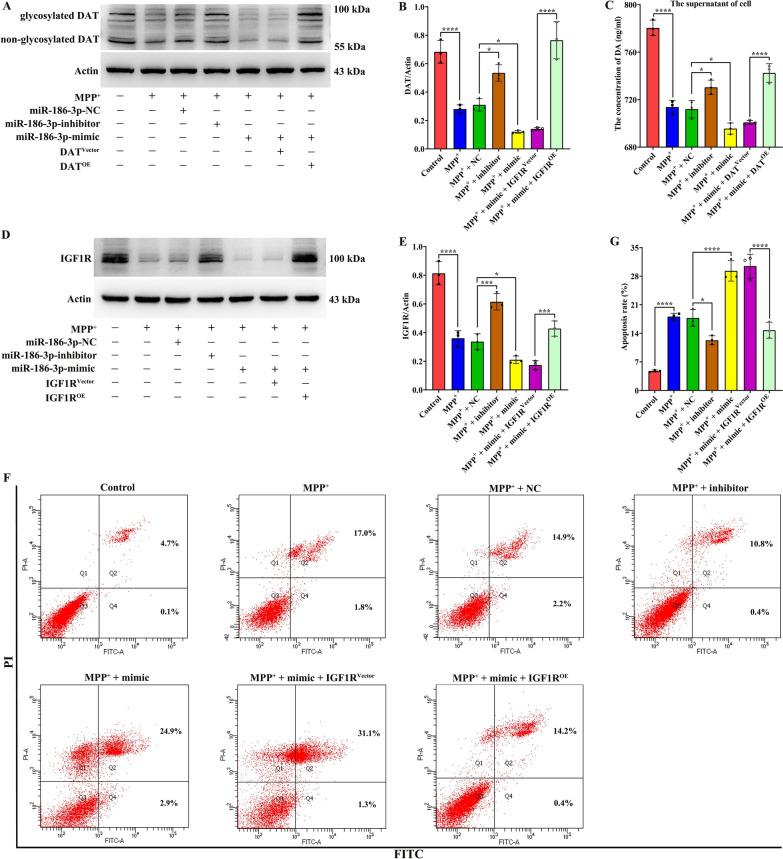 https://cdn.ncbi.nlm.nih.gov/pmc/blobs/4fbd/11299274/682f7a2bdfff/12967_2024_5535_Fig7_HTML.jpg