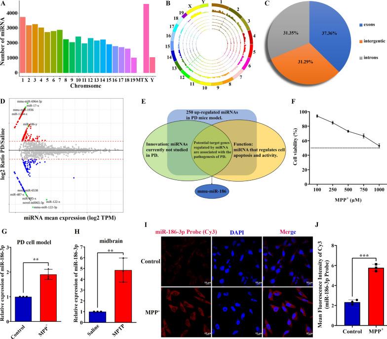 https://cdn.ncbi.nlm.nih.gov/pmc/blobs/4fbd/11299274/70e444f3158a/12967_2024_5535_Fig2_HTML.jpg