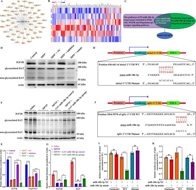 https://cdn.ncbi.nlm.nih.gov/pmc/blobs/4fbd/11299274/982319588151/12967_2024_5535_Fig6_HTML.jpg
